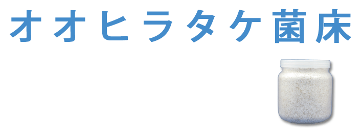 オオヒラタケ